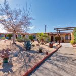 Harmony Motel desert garden