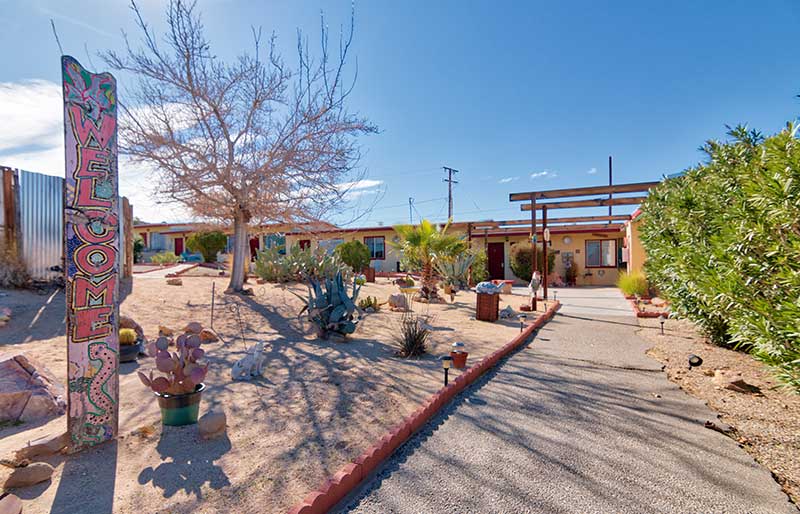 Harmony Motel desert garden